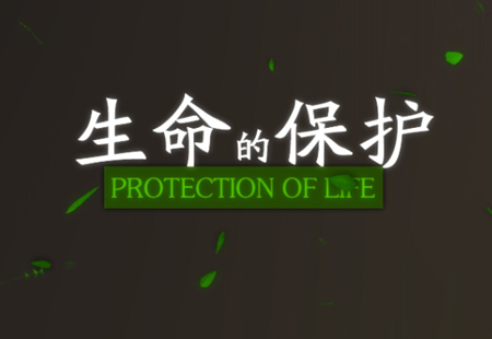 河南商業(yè)活動(dòng)策劃 河南商業(yè)活動(dòng)策劃